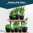 thumbnail image 4 of Plant Pots with Multi Drainage Holes - 5 Pieces Versatile, Sturdy Plastic, Stackable Design Home Decor Flower Pots for Indoor and Outdoor Gardening - Black, 4 of 4