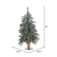 thumbnail image 3 of Vickerman 2' Natural Bark Alpine Artificial Christmas Tree, Warm White Dura-lit LED Lights, 3 of 5