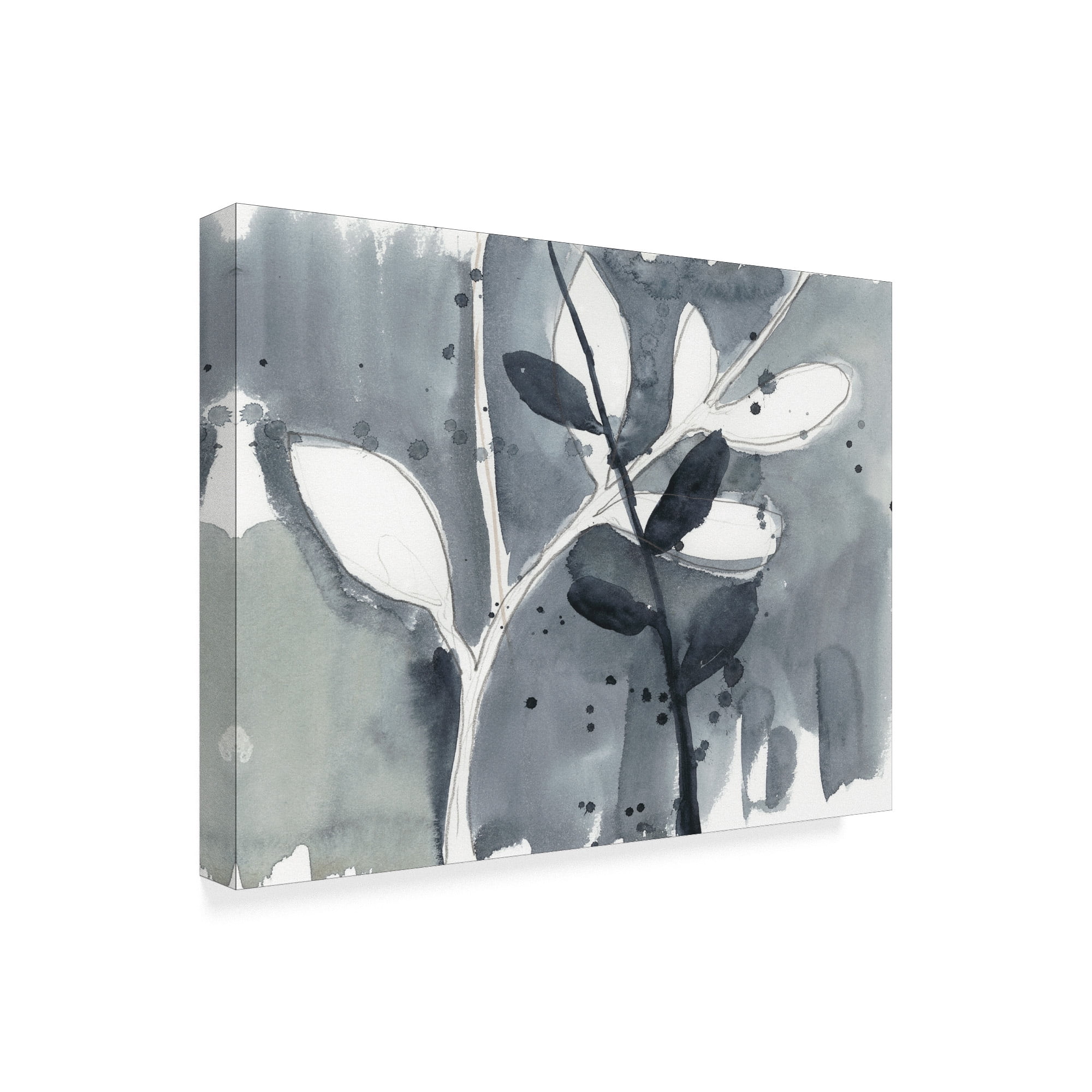 Trademark Fine Art 'Branch Contours IX' Canvas Art by Jennifer Goldberger