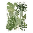 thumbnail image 1 of Juego de hojas secas Naiovety materiales de calcomanía decorativa tipo 9 hojas verdes, 1 of 6