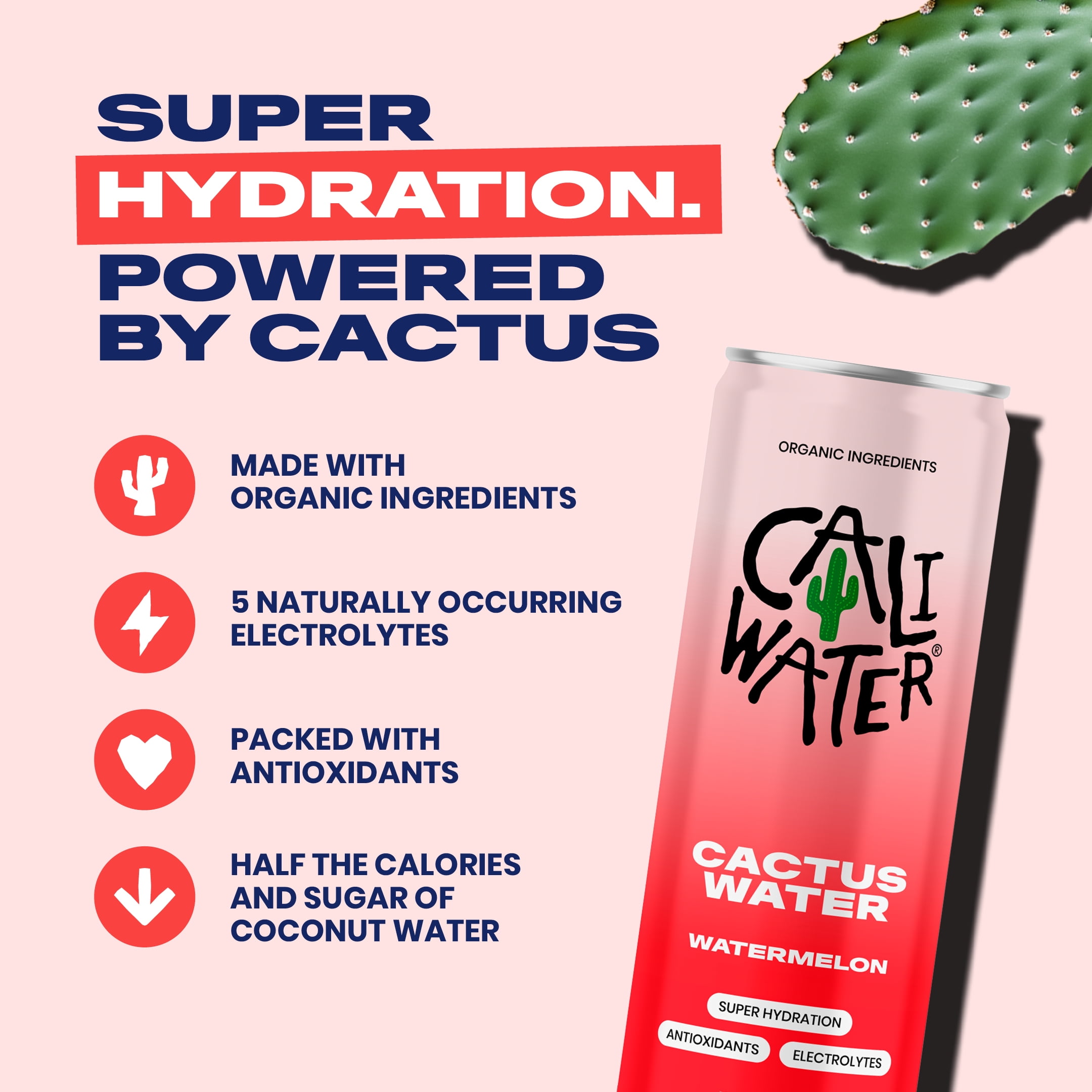 (12 pack) Caliwater Organic Cactus Water, Watermelon, Single Can, Coconut Water Alternative, 12 fl oz Liquid Can