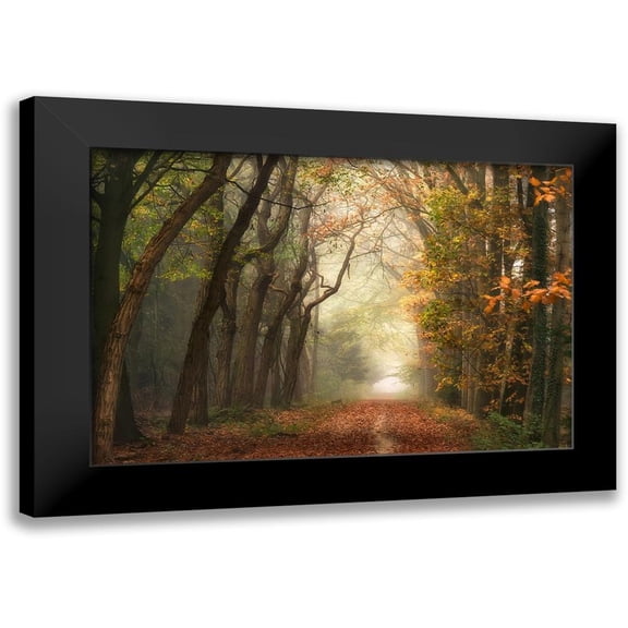 Lars Van de Goor 14x11 Black Modern Wood Framed Wall Art Titled - Path of Dreams