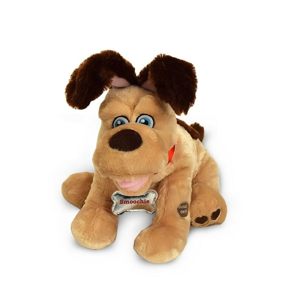 Chantilly Lane Everyday "Smoochie Pooch" Sings "What I Like About You" Plush, 12"