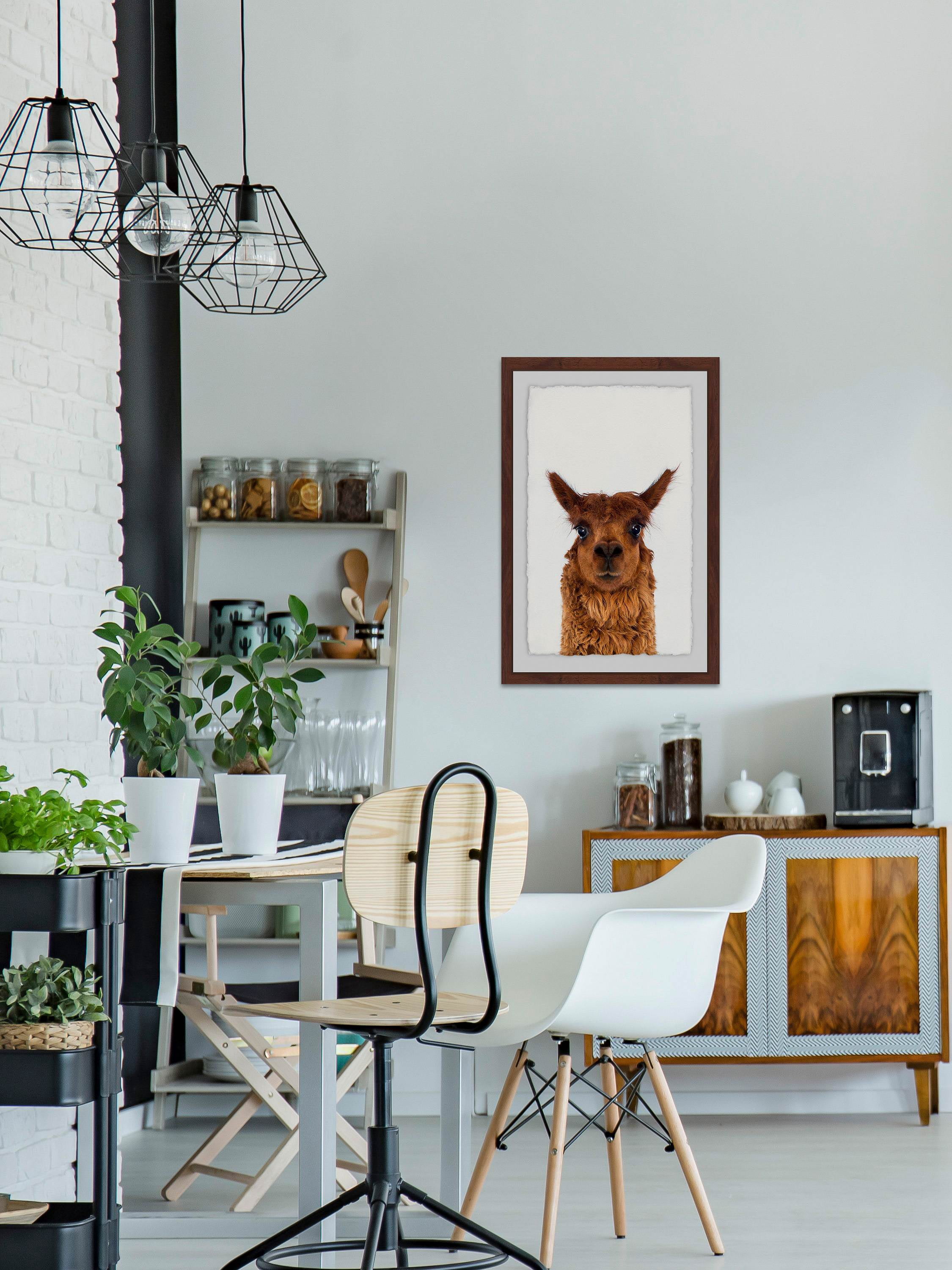 Staring Llama Framed Painting Print