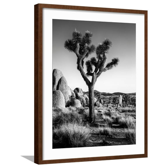 Art.com USA, California, Joshua Tree National Park at Hidden Valley Photographic Print by Ann Collins, Brown Frame Wall Art, 23" x 29"
