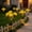 Yellow_New#3317, variant on Solar Powered Carnation Garden Light Outdoor LED Artificial Flower Stake for Yard Pathway Patio Decor and Mother’s Day Gift