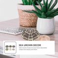 thumbnail image 4 of 6pcs Sea Urchin Decor Air Plant Pot Sea Urchin Tabletop Decor Fish Tank Decors, 4 of 4