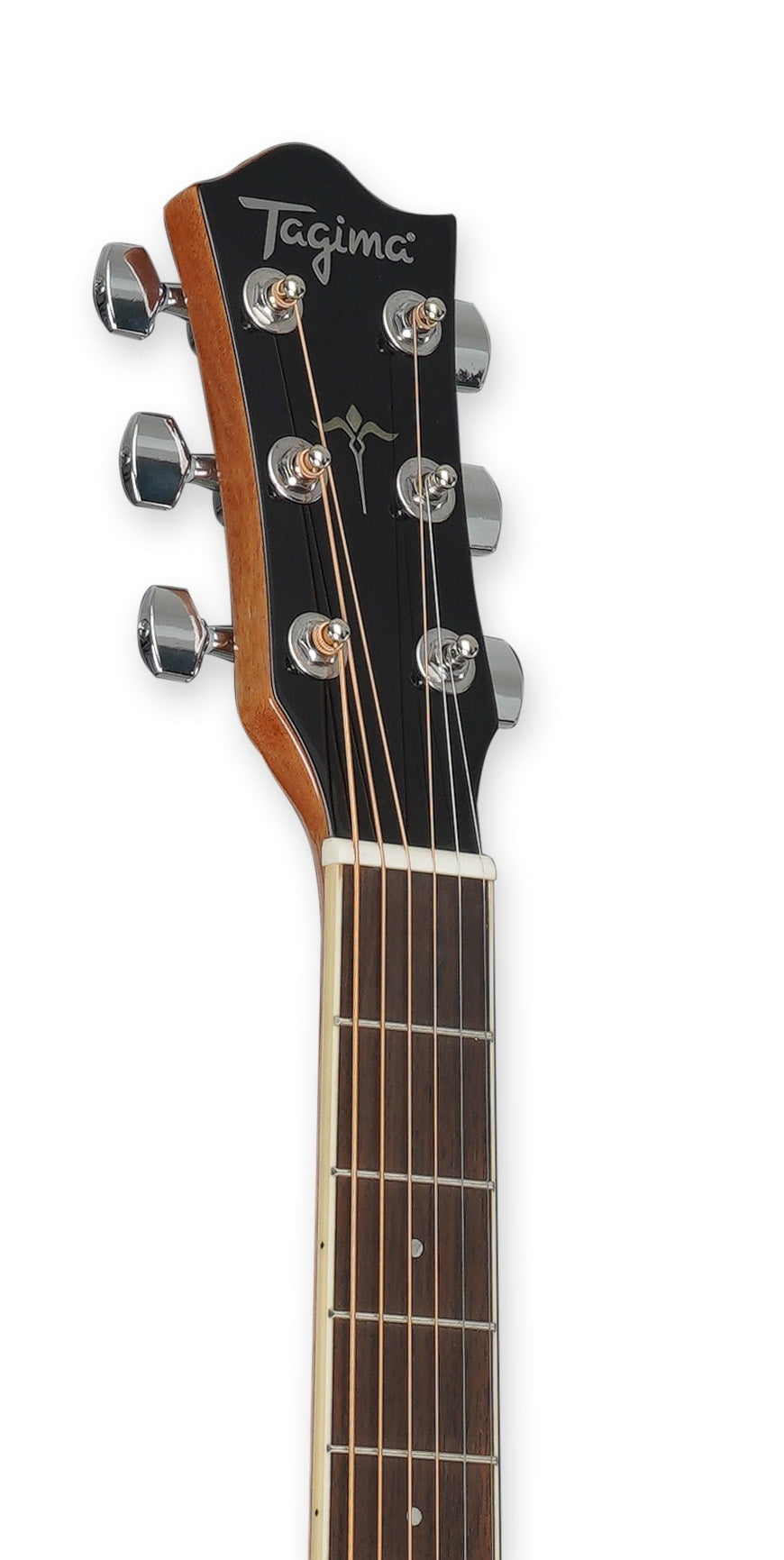 Tagima  WS 25 EQ-NT Acoustic Guitar - Natural