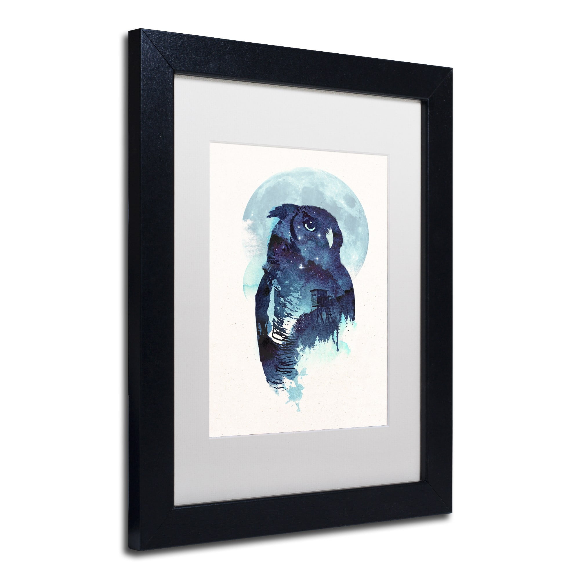 Midnight Owl' Canvas Art by Robert Farkas, White Matte, Black Frame