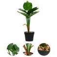 thumbnail image 3 of HOMEMAXS Mini simulación planta en maceta ornamento falso maceta bonsái decoración para el hogar HOMEMAXS 9958515, 3 of 6