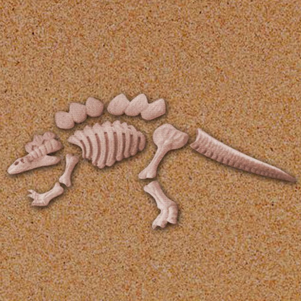 dinosaur sand molds