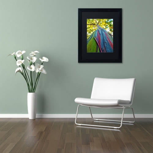 Trademark Fine Art "Rainbow Eucalyptus Tree" Canvas Art by CATeyes, Black Matte, Black Frame