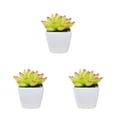 thumbnail image 1 of Advancent Simulación de suculentas, Mini maceta para bonsái, flores falsas, maceta decorativa para el hogar, , jardín, boda, sala de estar, Type1 NO1, 1 of 6