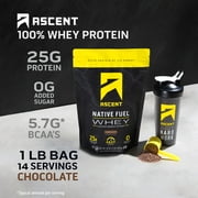 (4 pack) Ascent Native Whey Protein Powder Blend, Chocolate, 1 lb