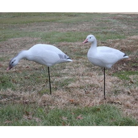 Big Foot Snow Goose Decoys with Motion Stakes 6 Pack