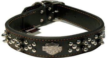 harley davidson spiked dog collar