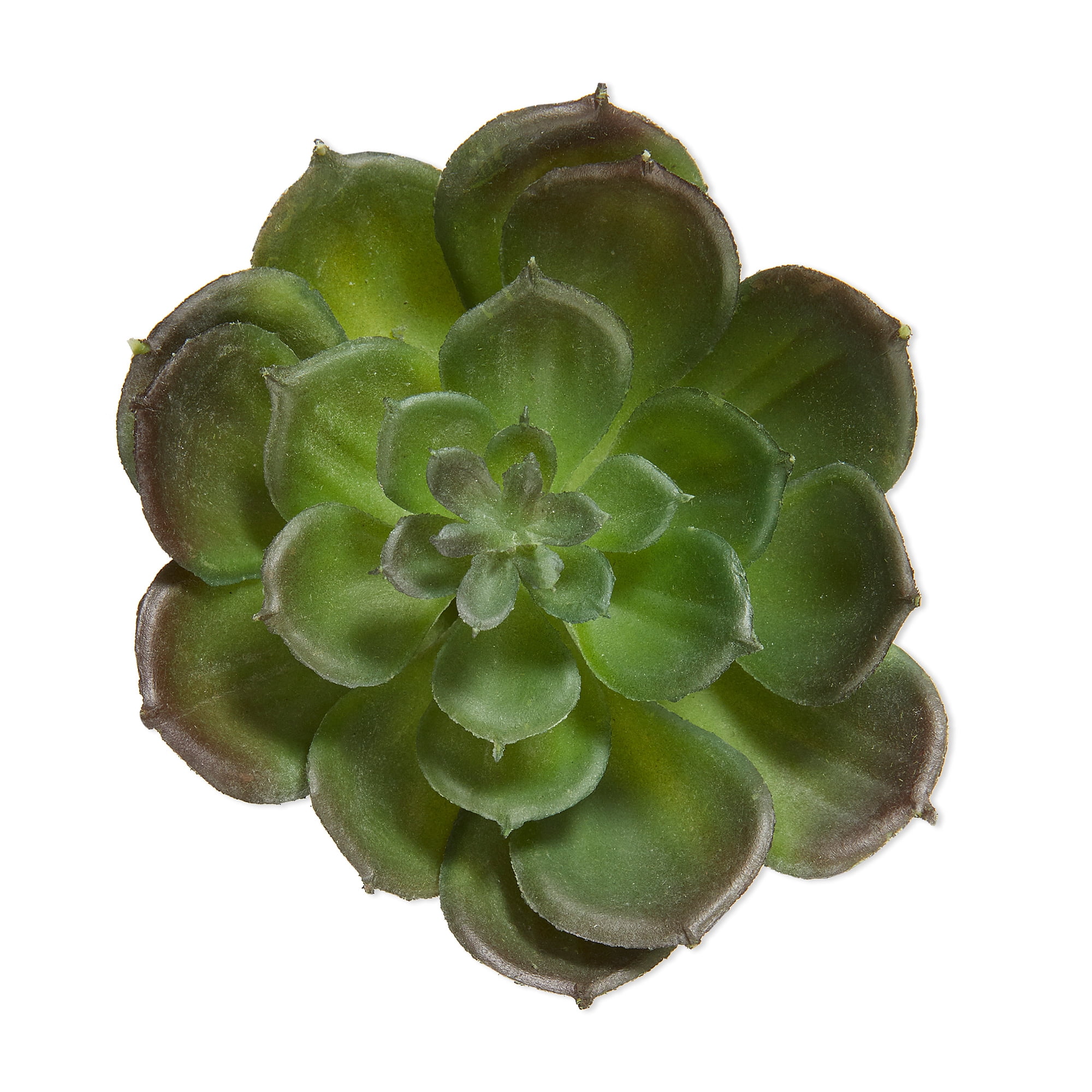 (2 pack) Mainstays Artificial Succulent Pick 3.25 inch x 4.75 inch Green Echeveria