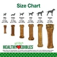 thumbnail image 5 of Nylabone Healthy Edibles All-Natural Long Lasting Chicken Flavor Dog Chew Treats 8 Count X-Small/Petite, 5 of 10