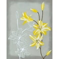 thumbnail image 2 of Lam, Vanna 15x18 White Modern Wood Framed Museum Art Print Titled - Floral Echo II, 2 of 4