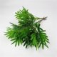 thumbnail image 5 of Planta artificial de 3 ramas, Asplenium septentrionale verde, decoración floral de hojas, 5 of 8