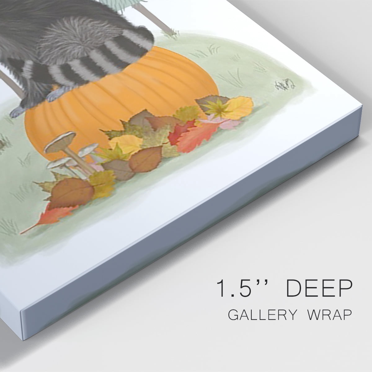 Raccoon On Pumpkin Premium Gallery Wrapped Canvas - Ready to Hang