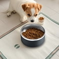 thumbnail image 2 of Pet Bowls Dog Bowls 304 Stainless Steel Dog Bowl Non Slip Anti Knockover Large Capacity Rust Resistant Easy Clean Food Water Bowl for Small Medium Dogs Indoor by PALIFEUR, 2 of 7