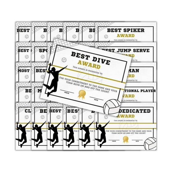 Volleyball Athletic Achievement Awards 31pk Unique 8.5x11 Superlative Certificates MVP Youth Sports Spirit Sportsmanship End of Year Recognition Team