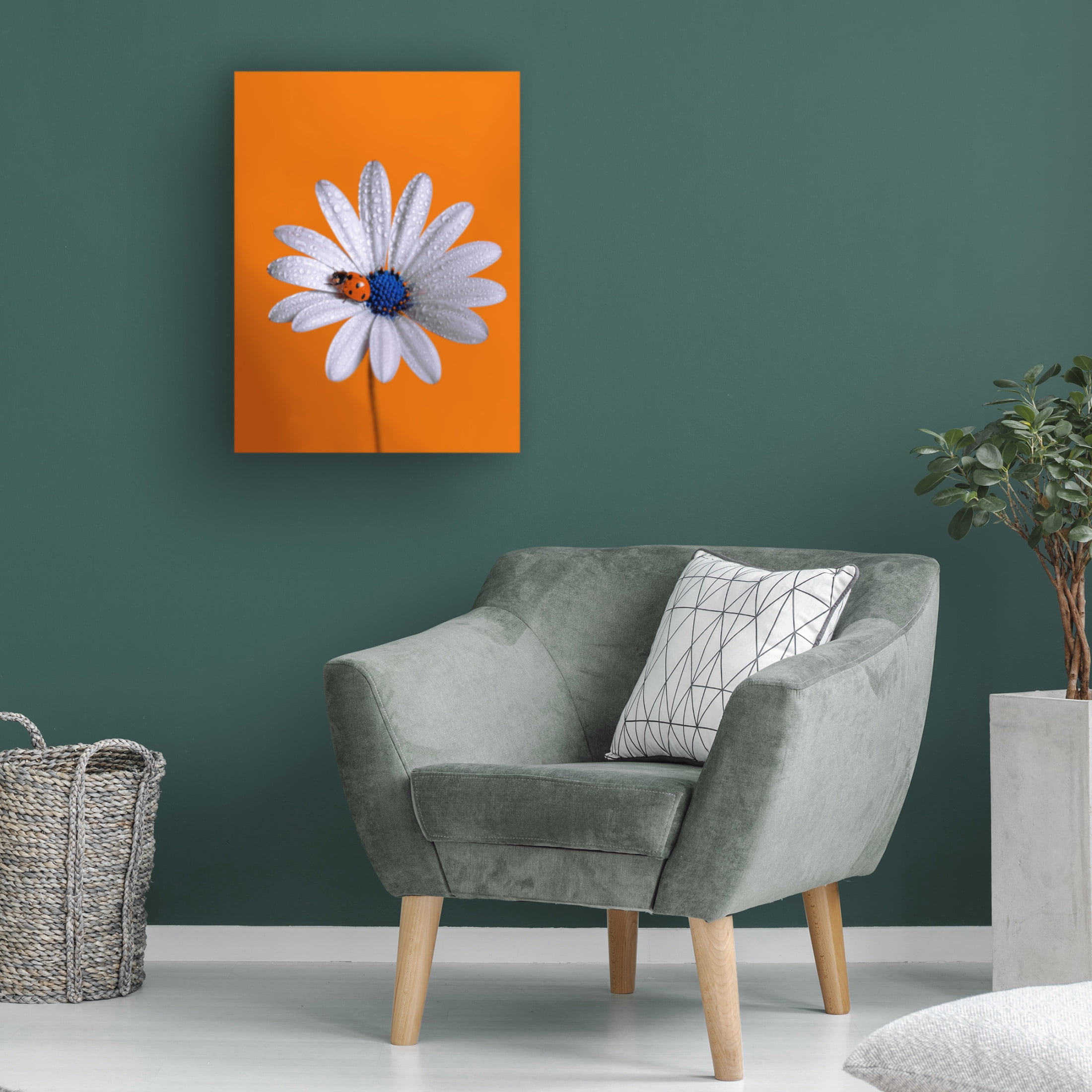 Trademark Fine Art Boutaiba Naoui Ladybug Canvas Wall Art