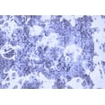 thumbnail image 1 of Ahgly Company Machine Washable Indoor Rectangle Abstract Blue Modern Area Rugs, 5' x 8', 1 of 4