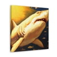 thumbnail image 5 of "Great White Shark Hunt" - Canvas, 5 of 25