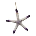 thumbnail image 1 of Adorno de estrella de mar de resina de 38 cm para colgar, ideal para Navidad, acuarios y oficinas. Blanco, 1 of 9
