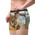 thumbnail image 4 of Balery Relaxing Cat With Orange Juice Men's Boxer Briefs, Soft and Breathable Cotton Underwear with nylon Waistband-XX-Large, 4 of 9