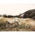 thumbnail image 2 of Bluebird Barn 31x26 Gold Ornate Wood Framed with Double Matting Museum Art Print Titled - Sheep in the Meadow, 2 of 4