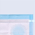 thumbnail image 4 of 100PCS Dog Training Piss Pads Super Absorbent Disposable Soft Pet Diaper, 4 of 6