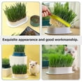 thumbnail image 5 of Hydroponic Cat Grass Planter Tray Plastic Catnip Cat Grass Box Soil Free Cat Grass Growing Box Cats Snack Tray, 5 of 5