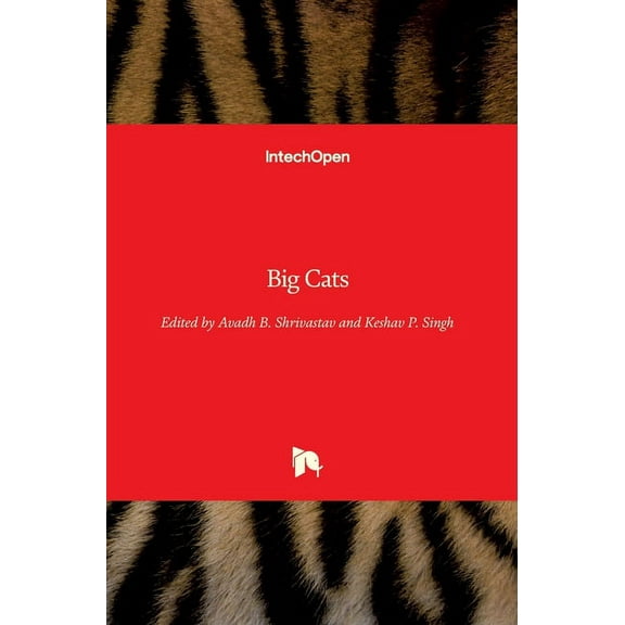 Big Cats (Hardcover)