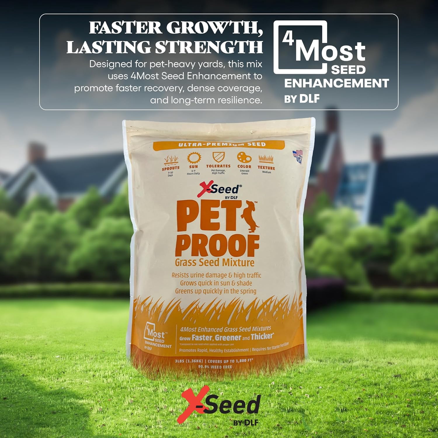 X-Seed Pet Proof Fescue Grass Seed – Dense Lawn for Sun & Shade, Urine Resisitant High Traffic Emerald Green Grass, Rapid Growing In Cool & Sunny Climates,Suited for Dogs – Perennial Blend -3 lb Bag
