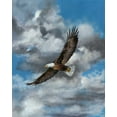 thumbnail image 2 of Mock, Carolyn 26x32 Black Ornate Wood Framed with Double Matting Museum Art Print Titled - Soaring, 2 of 4