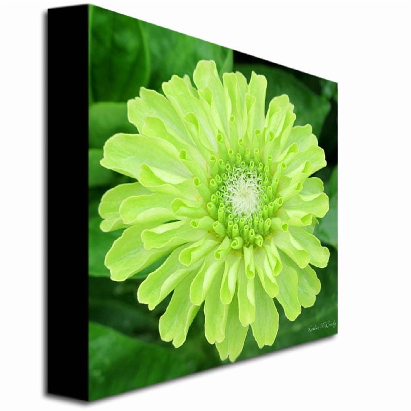 Trademark Art "Green Envy Zinnia II" Canvas Art by Kathie McCurdy