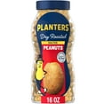 PLANTERS Salted Dry Roasted Peanuts, Party Snacks, Plant Based Protein