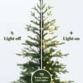 thumbnail image 5 of 4Ft Pre-Lit Winter Green Artificial Evergreen Christmas Tree Potted, 5 of 11