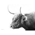 thumbnail image 2 of Cusson, Marie Elaine 32x25 White Modern Wood Framed Museum Art Print Titled - My Highland III, 2 of 4