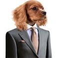 thumbnail image 2 of VWAQ Business Dog Sticker - Funny Dog Wall Decal - Hilarious Gifts for Coworkers - FWP3, 2 of 2