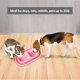 thumbnail image 5 of Cuenco de comida para mascotas para perros y gatos, cuenco para comida y agua, pequeño, mediano, para perros y gatos Adepaton S, 5 of 5