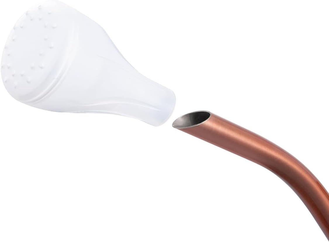 1/2 Gallon 68oz Long Spout Stainless Steel Flower for Indoor Plant Watering or Outdoor Gardening with 2 Removable Spray Spout for Flowers Plant Hummingbird Pattern Watering Can, Bronze