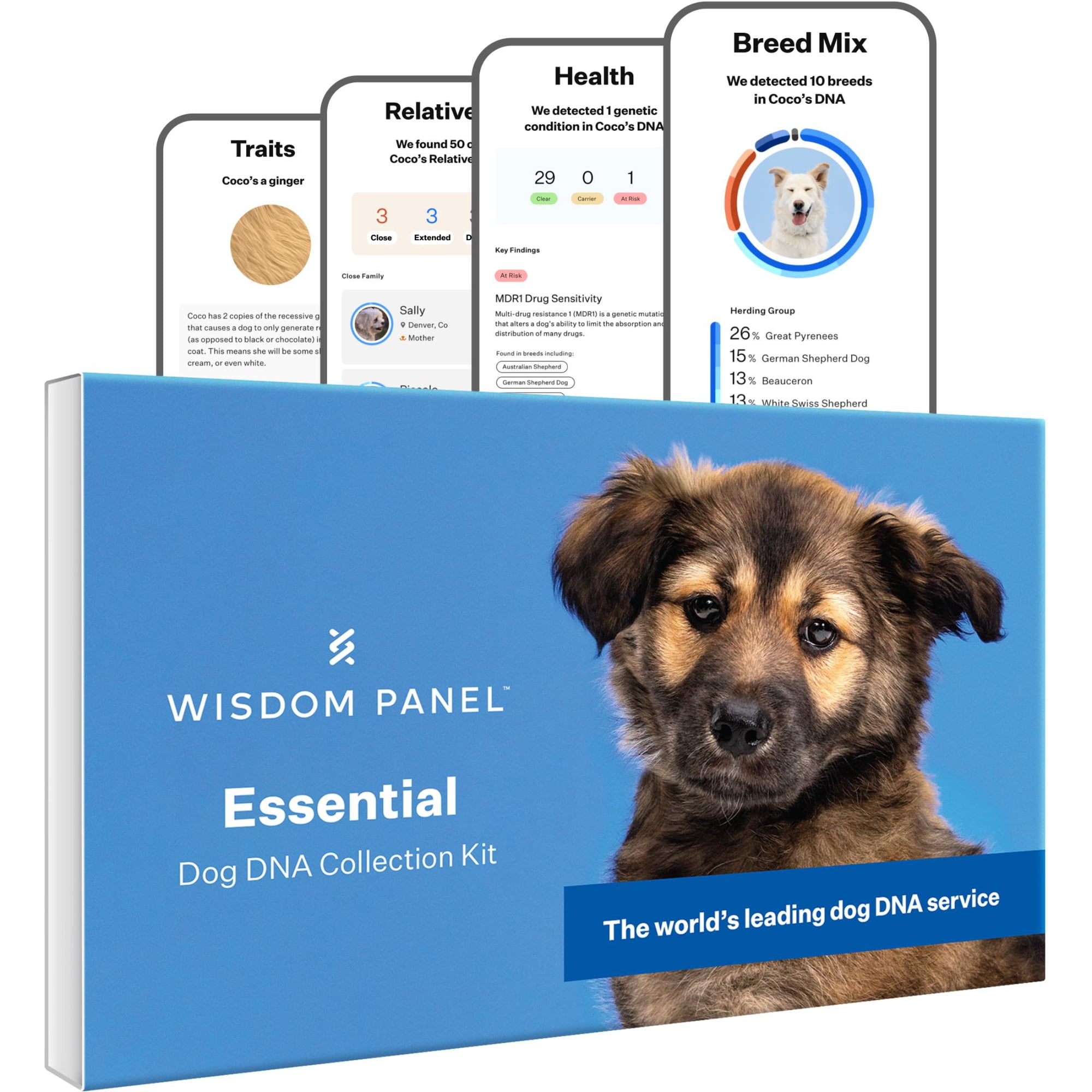 Wisdom Panel Essential Dog DNA Testing Kit, Most Accurate Test, 430+ Dog Breeds, 30 Genetic Health Conditions, 50+ Traits, Relatives, Ancestry, 1 Pack