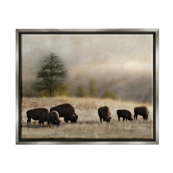 Stupell Industries Grazing Bison Rural Grassland Meadow Panoramic Scene Photograph Luster Gray Floating Framed Canvas Print Wall Art, Design by Danita Delimont
