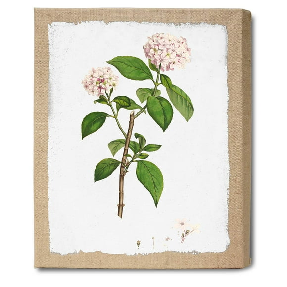 TEXTURE OF DREAMS French Vintage Botanical Print on Burlap Canvas Wall Art Giclee Printing on Laminated Burlap Stretched Canvas Floral Wall Decor, Vintage Flower Home Decoration (Flower No.8)