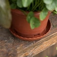 thumbnail image 2 of 6Pcs  Plant Pots Flowerpots Plate Board Tray Saucer Planter Reusable Fleshiness Base Home Garden Durable Plastic, 2 of 14