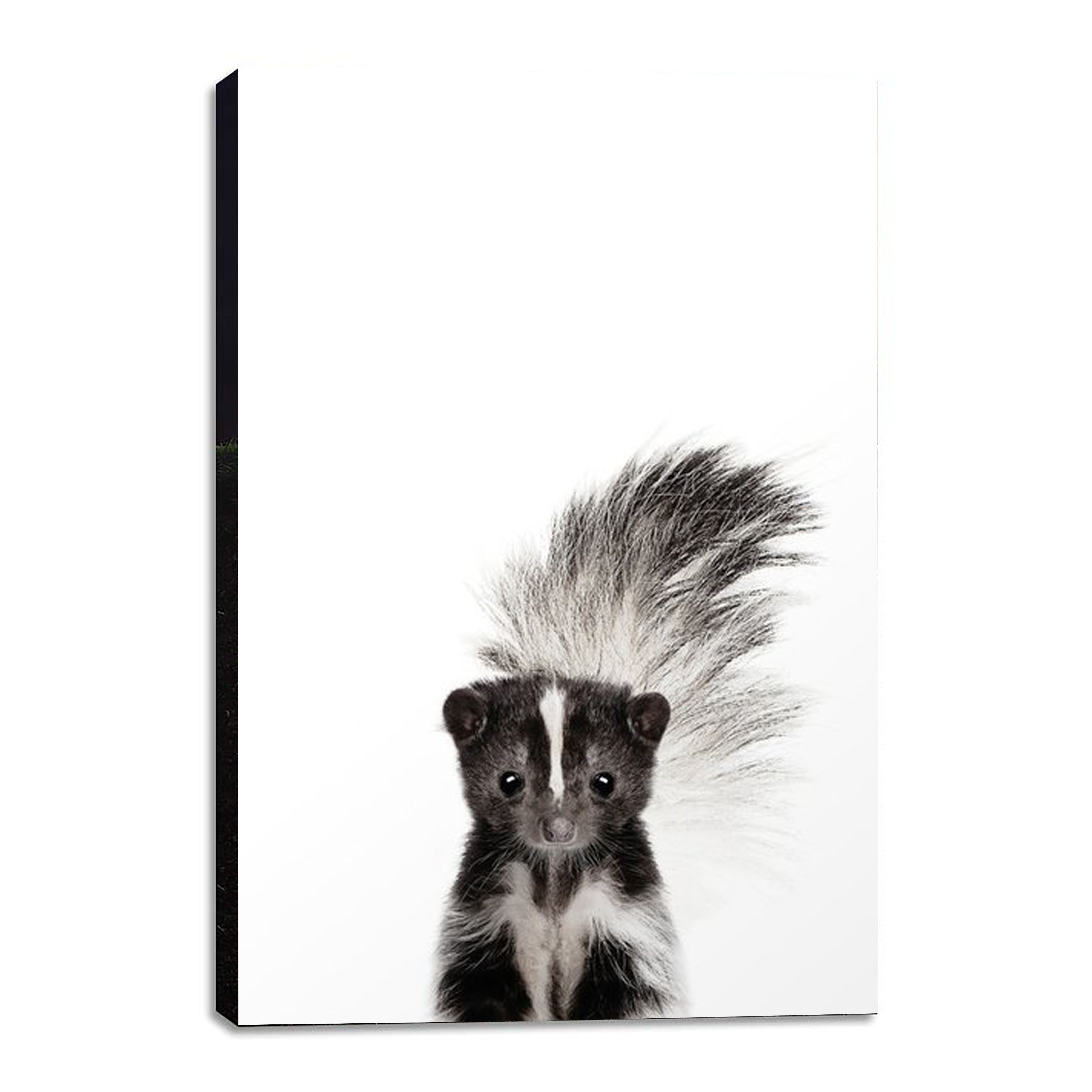 Baby Skunk, Wall Art Canvas, Baby Animal Pictures for nursery, Wall Art For  Kids, Animal Wall Art for Children and Babies Ready to Hang 30 x 40 in -  